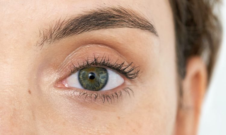 Eyelash Conditioners: Which One Is the Most Ideal among Them?