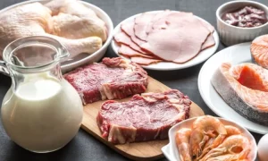 The Dukan Diet: A Comprehensive Overview