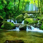9 Attractive Tourist Attractions in Karanganyar for Holidays