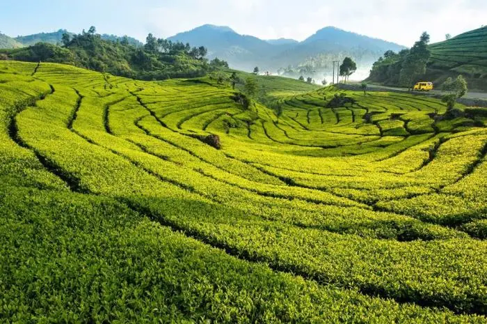 10 Natural Tourist Attractions in Bogor That Offer Amazing Views